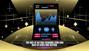 Tìm hiểu về Betting Exchange (Sàn giao dịch cá cược) như Betfair.